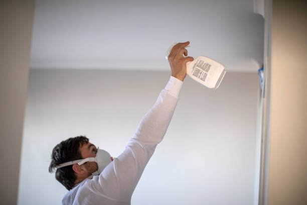 Best Post-Flood Mold Remediation in Fort Irwin, CA