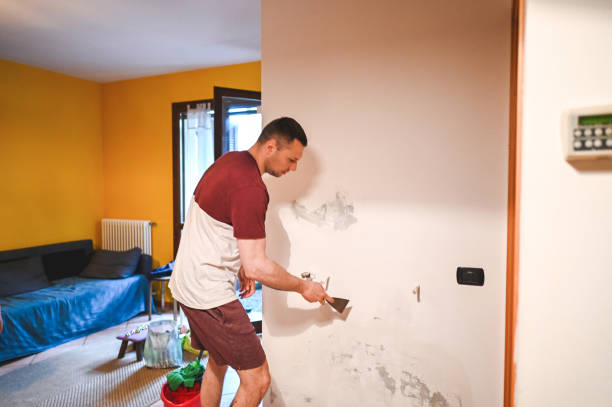Best Localized Mold Remediation (e.g., coastal areas, humid climates) in Fort Irwin, CA